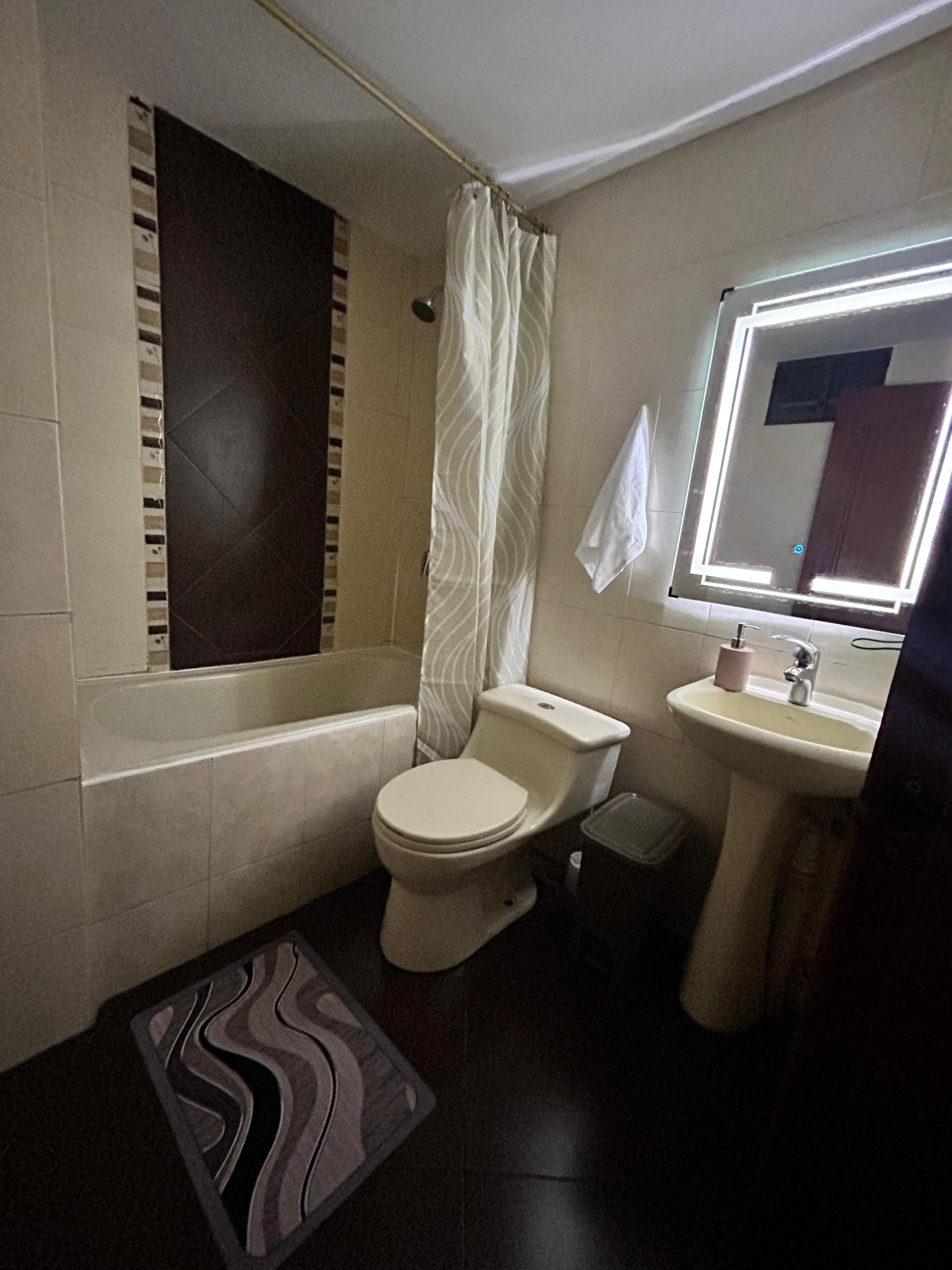 Baño principal con ducha y tina